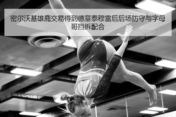 密尔沃基雄鹿交易得到德章泰穆雷后后场防守与字母哥挡拆配合